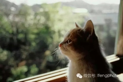 20201213103029-902fe4fb