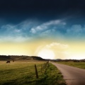 20201213103204-1f6fb1f5