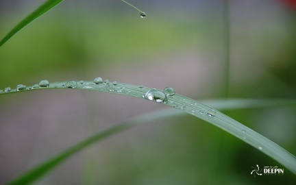 20201213103206-ea4fa8cf