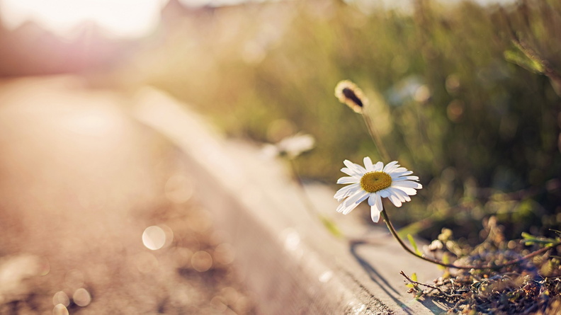 20201213103221-0969f6e4